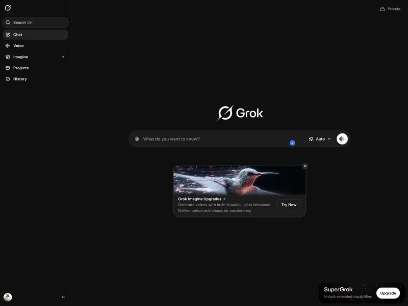 Grok Interface